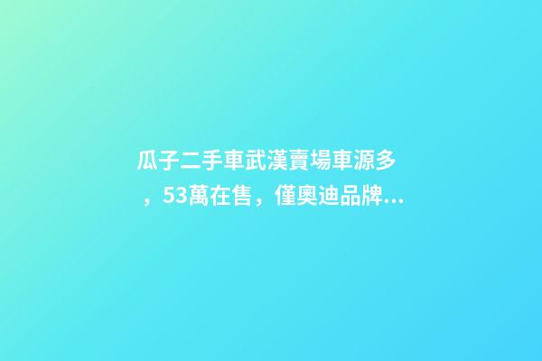 瓜子二手車武漢賣場車源多，5.3萬在售，僅奧迪品牌就有3000多輛